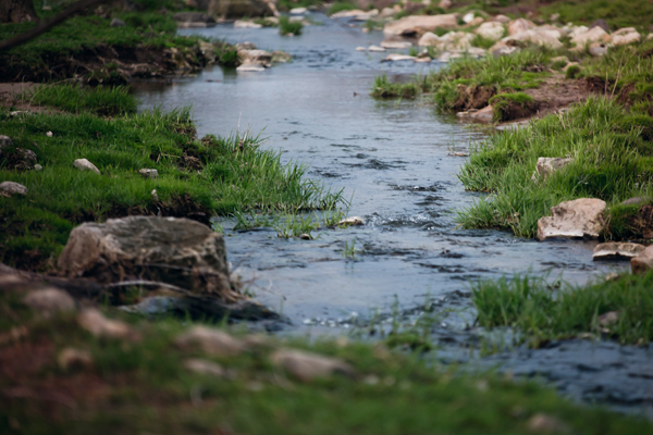 creek-of-water