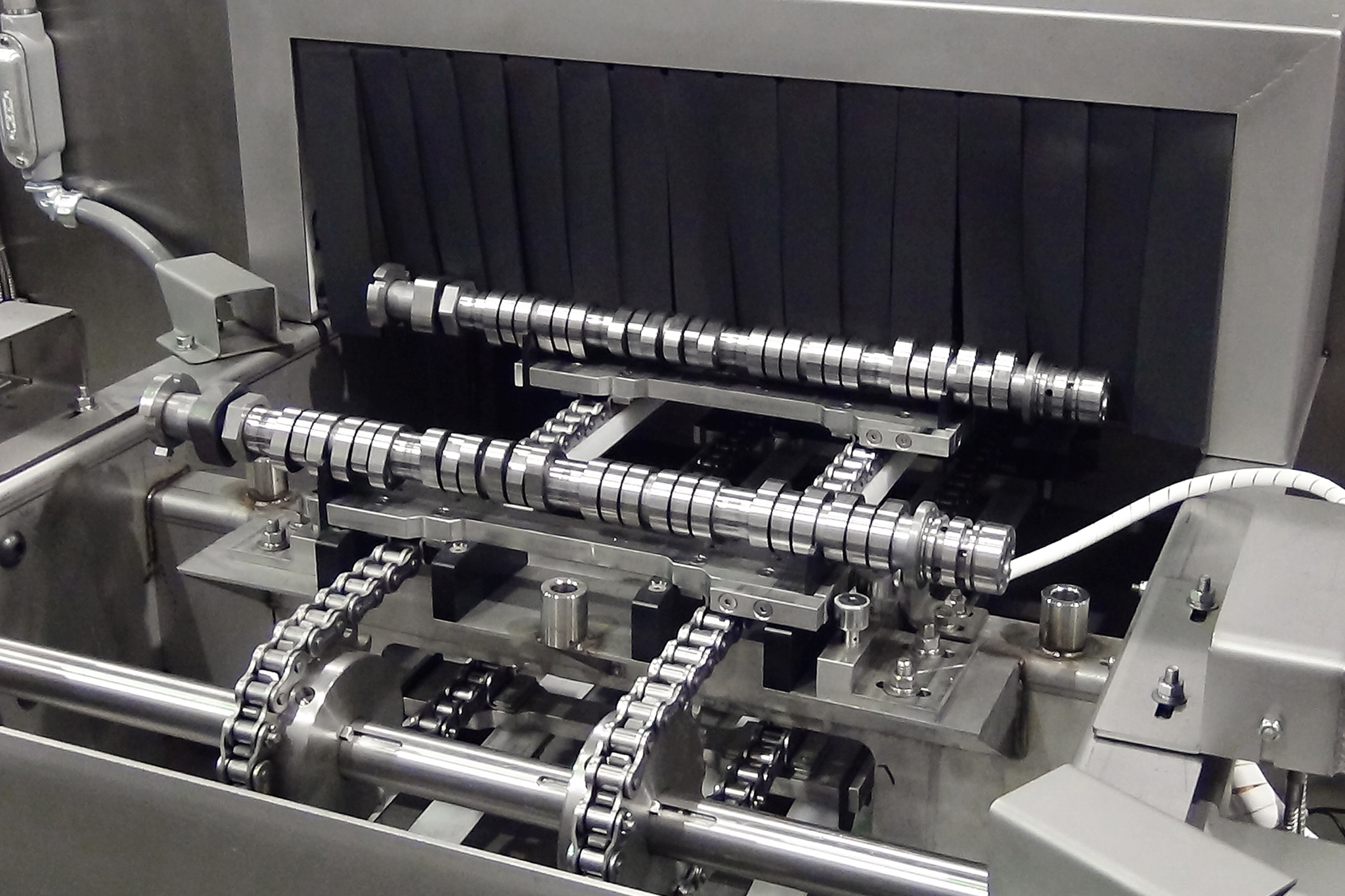 595_DSC00638-Edit-2048 machine for cleaning camshafts